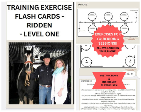 EXERCISE TRAINING CARDS - RIDDEN - LEVEL ONE - DIGITAL DOWNLOAD FILE