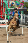 Pole Bending: Part One Training Video with Bronwyn Irwin (USB)