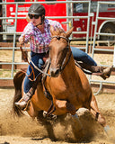 Barrel Racing Exercise Flash Cards - Ridden