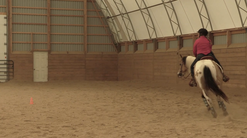 3 Steering Exercises You Need in Your Training Tool-Box - Available on Vimeo!