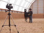 Training Videos - 6 Week Horsemanship Journey (Ground Exercise Series) - Available on Vimeo!