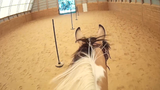 VIMEO - Pole Bending: Part One Training Video